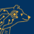 Berkeley Artificial Intelligence Research (BAIR)